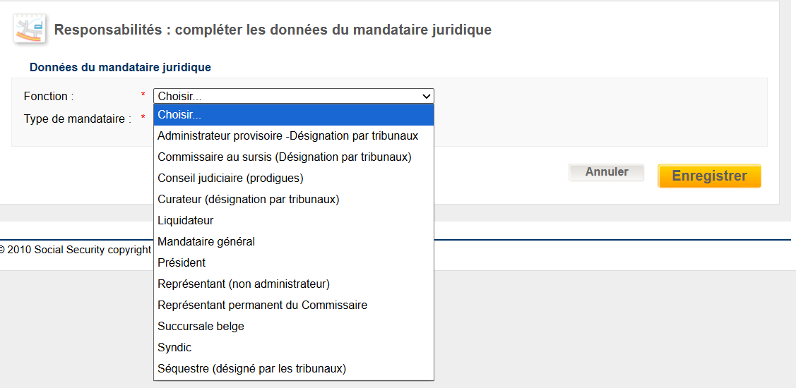 WIDE: legal representative - details  WIDE: legal representative - details on function and type