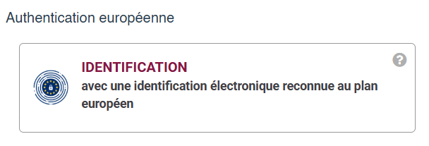 Screenshot of the button: 'Log in with an electronic identification means recognised at European level'.