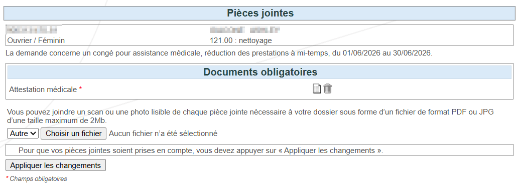 Screenhot showing the attachments and the required documents.  Button 'apply changes' on the bottom left.